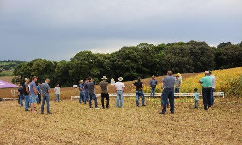 Entreposto de Mariópolis realiza Dia de Campo na fazenda Nossa Senhora Aparecida